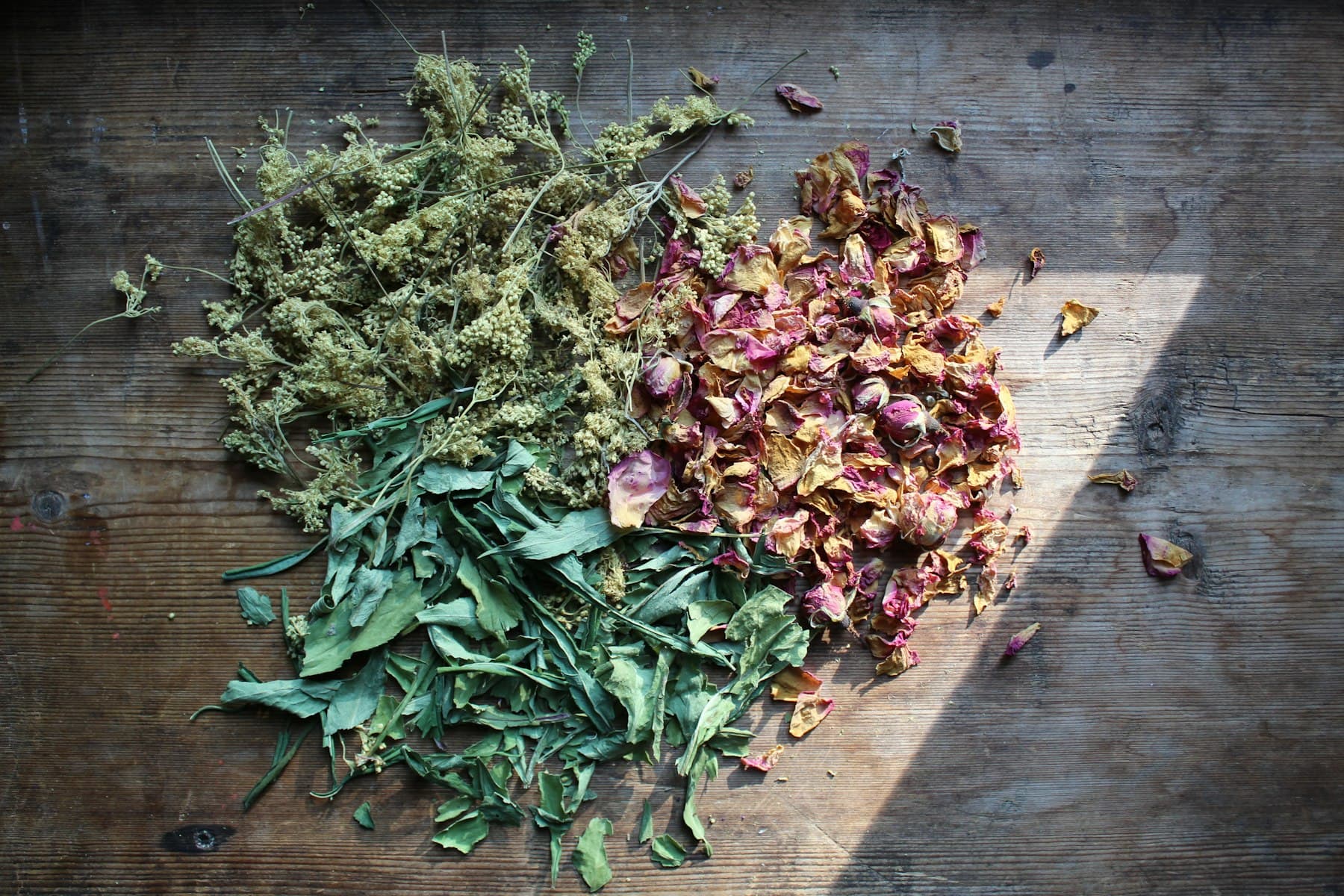 Botanical & Floristry