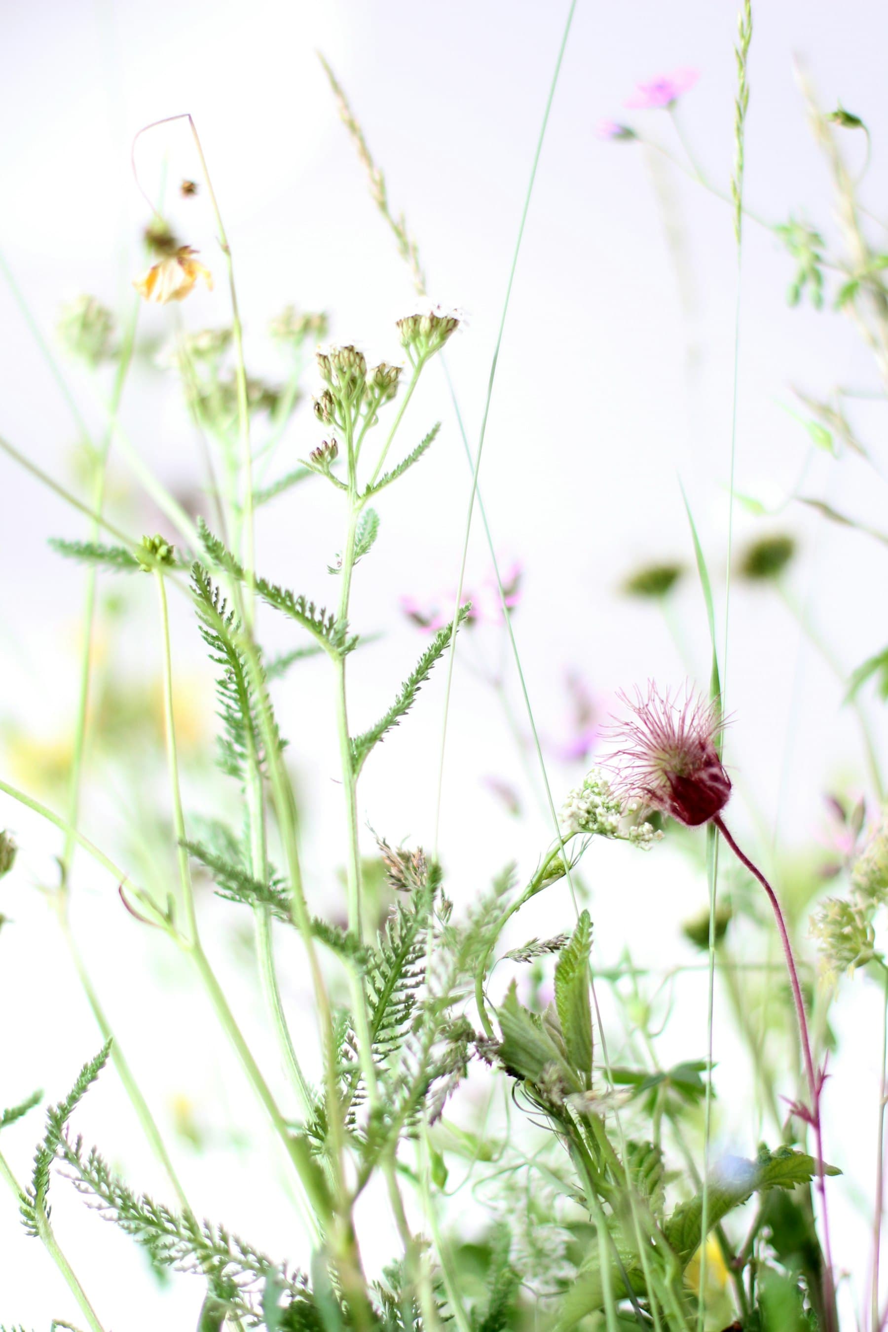 Yoga & Sound Healing